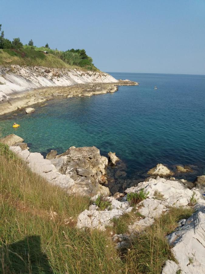 Apartman Dea Crveni Vrh Luaran gambar