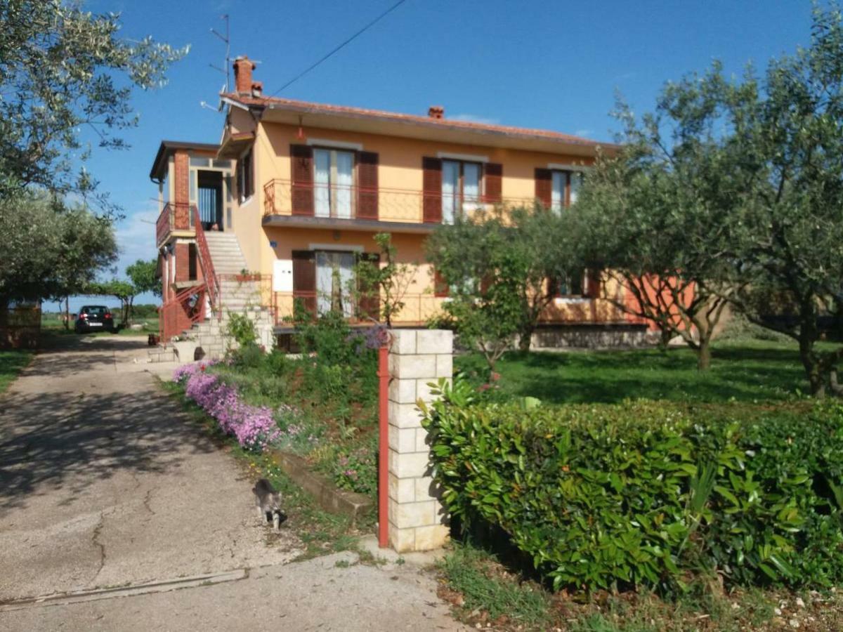 Apartman Dea Crveni Vrh Luaran gambar