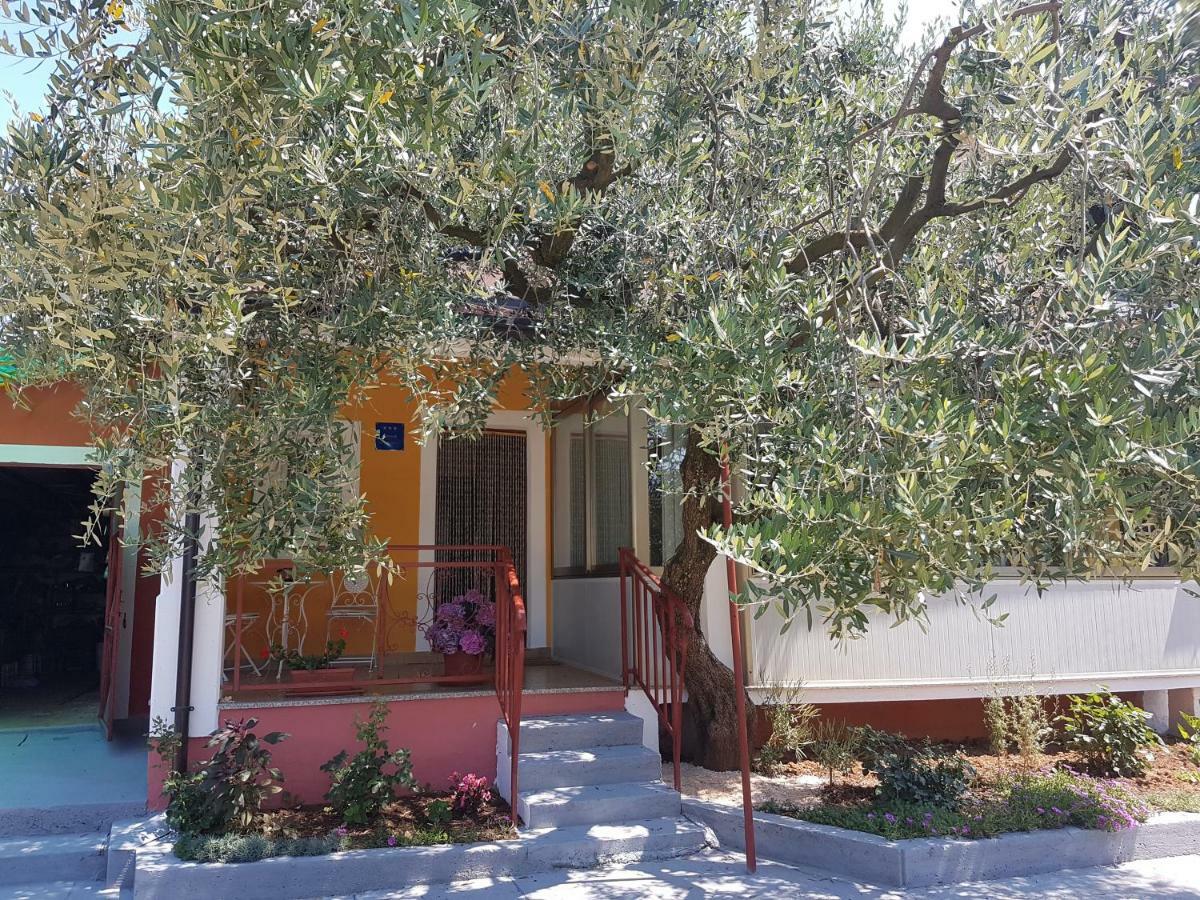 Apartman Dea Crveni Vrh Luaran gambar