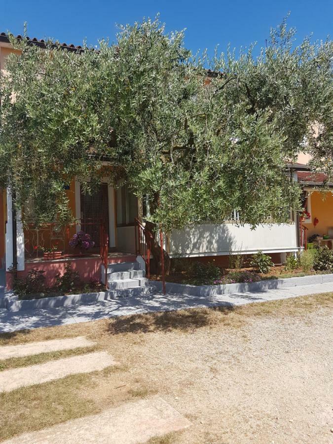 Apartman Dea Crveni Vrh Luaran gambar